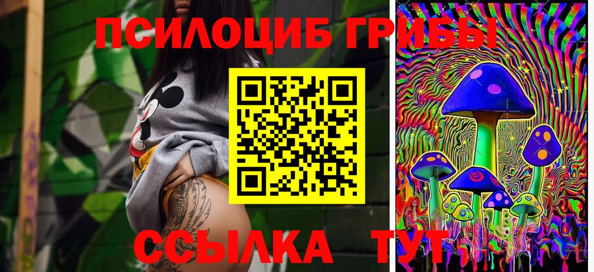 Псилоцибиновые грибы мицелий Валуйки