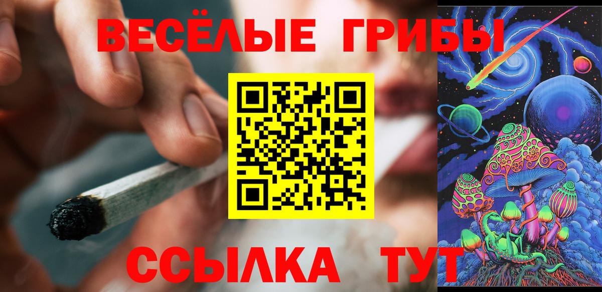 Псилоцибиновые грибы Cubensis  Вход с VPN  Валуйки 